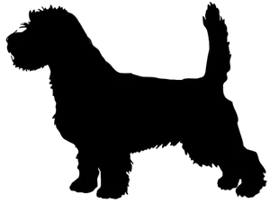 Briquet Griffon Vendéen