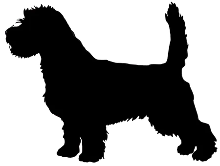 Bild für Briquet Griffon Vendéen