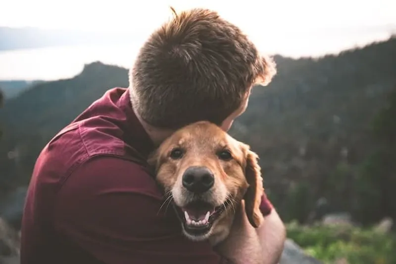 Golden Retriever mit Besitzer