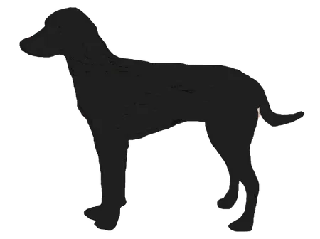 Bild für Haldenstøver