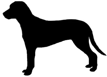 Bild für Hamiltonstövare