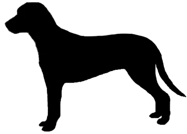 Hamiltonstövare Bild