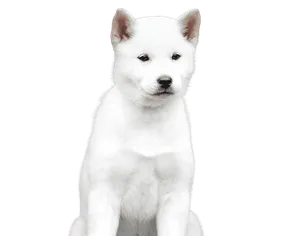Hokkaido