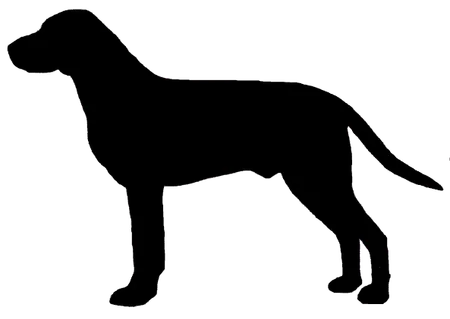 Bild für Hygenhund