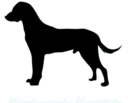Bild für Montenegrinischer Gebirgslaufhund