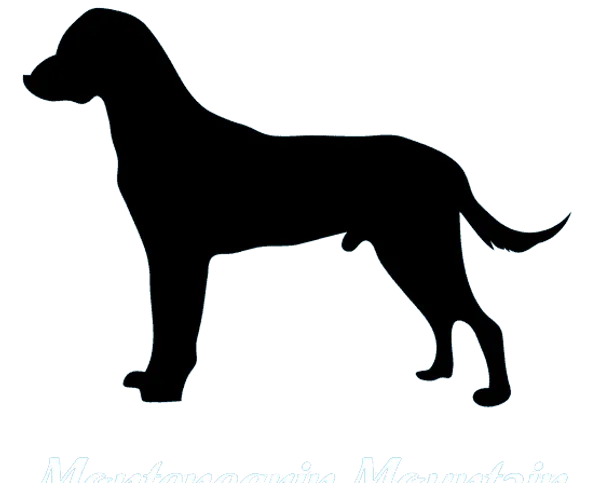 Montenegrinischer Gebirgslaufhund Bild
