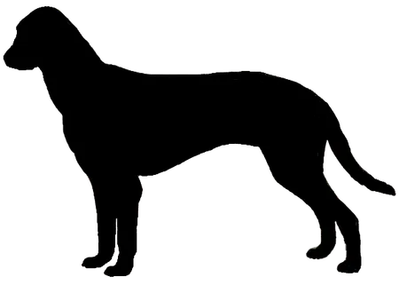 Bild für Posavski Gonič