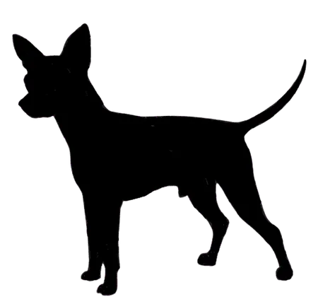 Bild für Prager Rattler