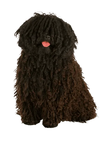Puli (5)