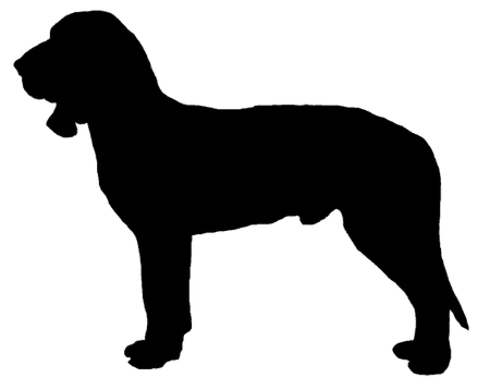 Bild für Sabueso Español