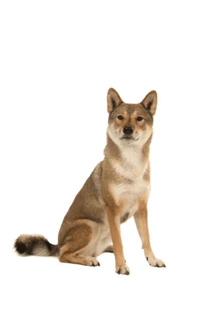 Shikoku