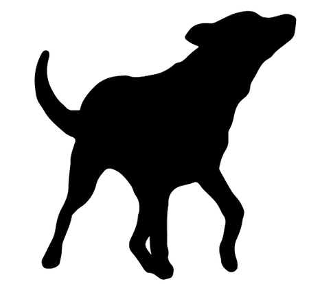 Bild für Tiroler Bracke