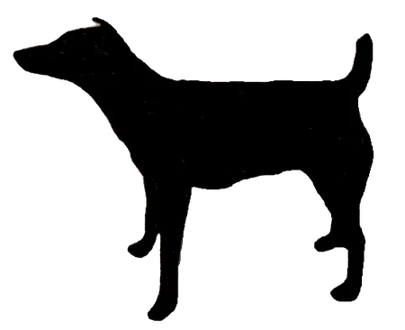 Bild für Westfalenterrier