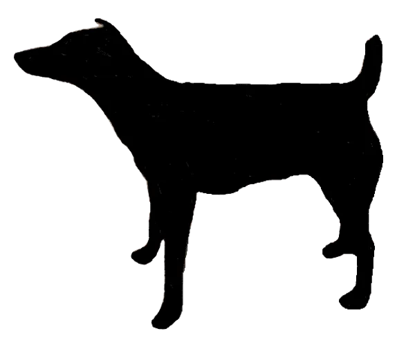 Westfalenterrier Bild